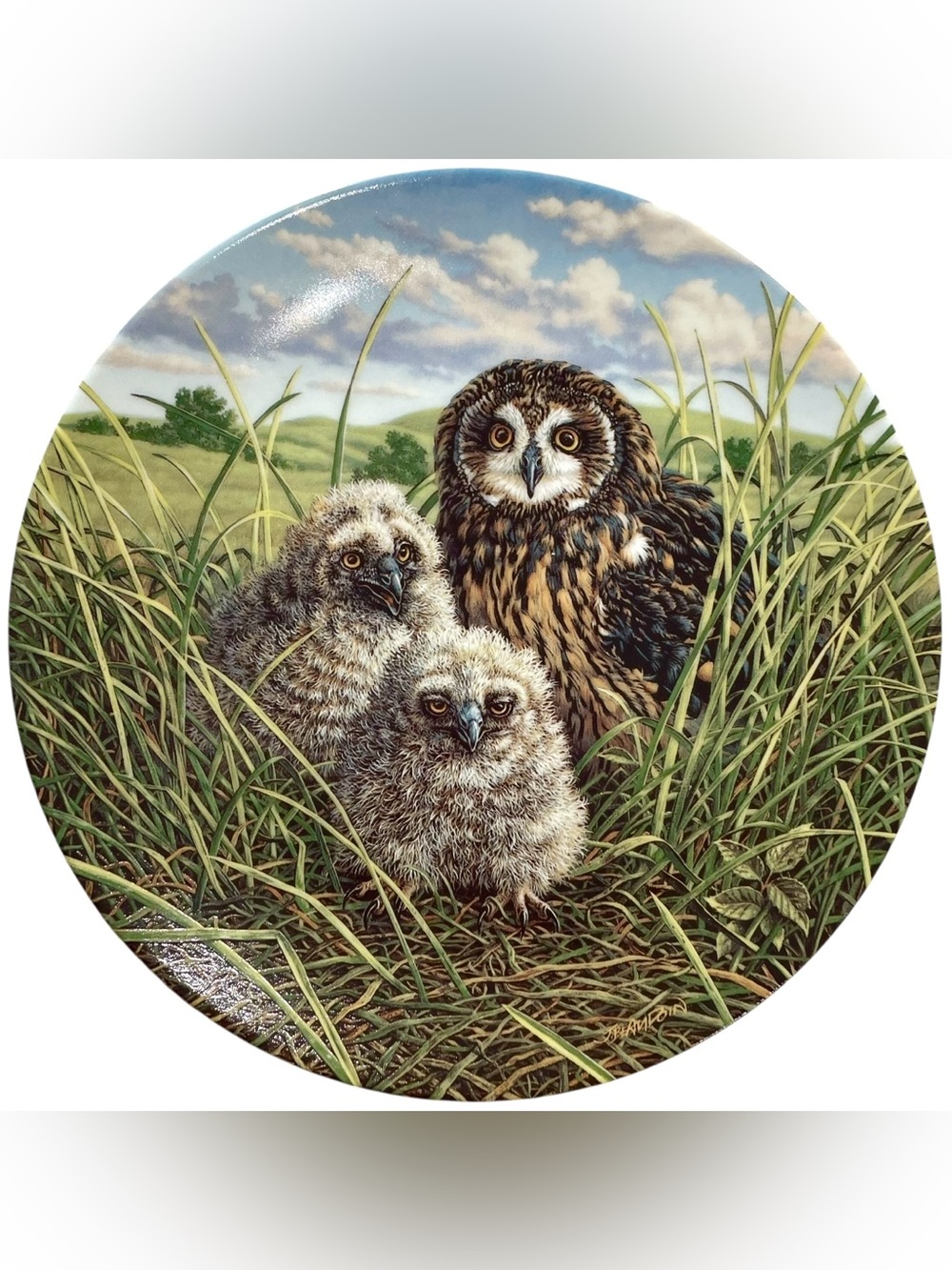 Vintage 1990s Happy Home Short-Eared Owls Collectors Plate Artist Jim Beaudoin